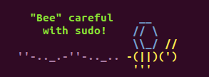 Picture of ASCII art that says 'Bee careful with sudo'
